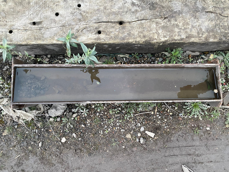 Reclaimed Small cast iron trough
